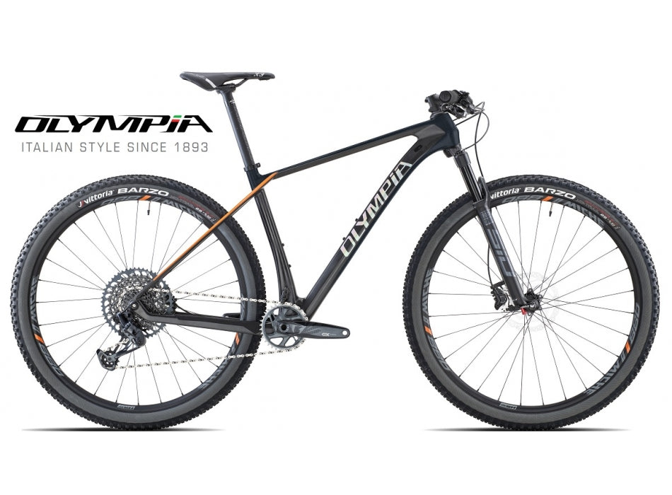 Bicycle Wheel Cicli Olympia Peso Olympia F1 BICI OLYMPIA F1 PRO