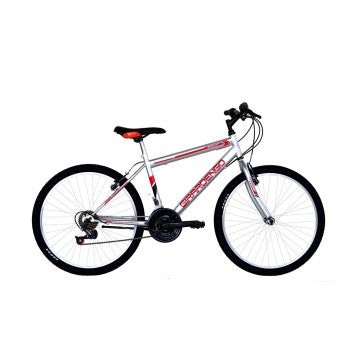 Bici Coppi MTB 24