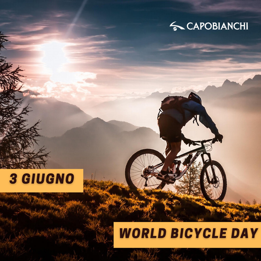 03/06/2024 Giornata Mondiale della Bicicletta!