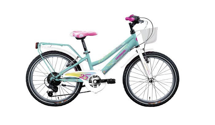 Ruote Da Allenamento Per Bici Per Bici Da 12 14 16 18 20 Pollici A Velocita Variabile E Bici Per Bambini A Velocita Singola - Foto 10