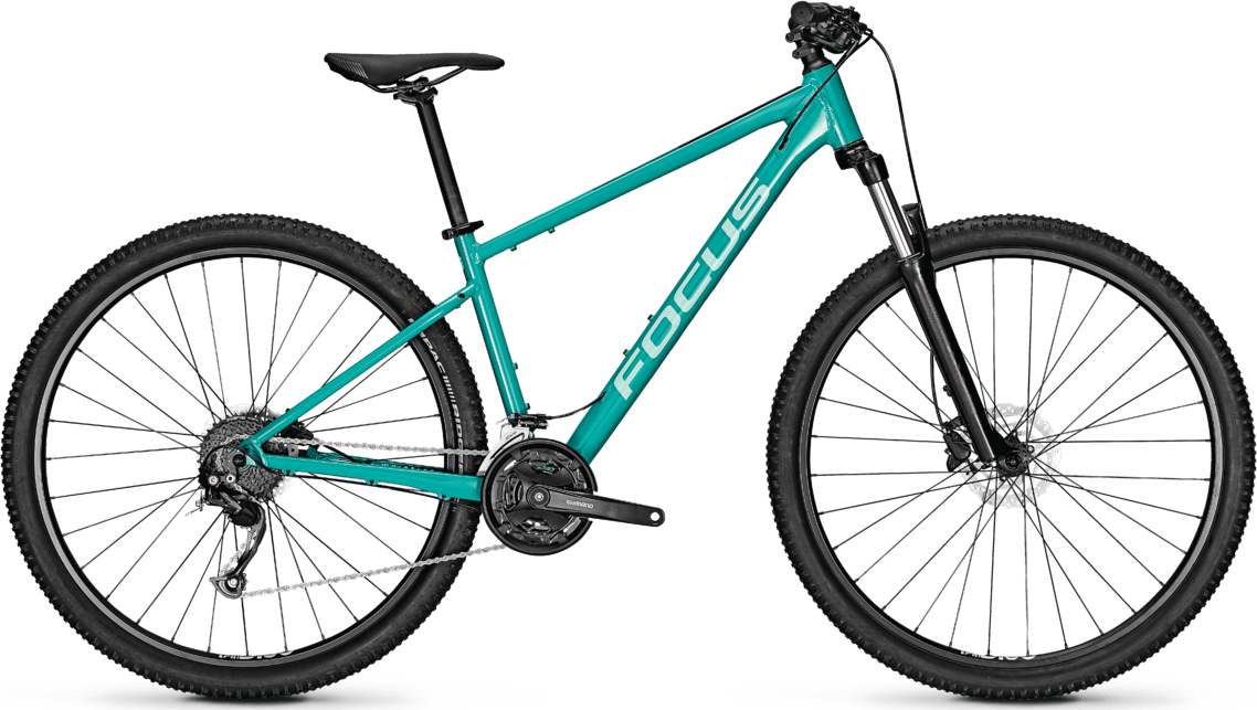 BICI Focus Whistler 3.6