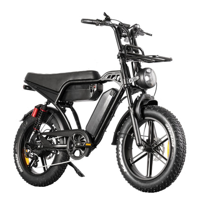 E-Bike Fat Hunt Leon