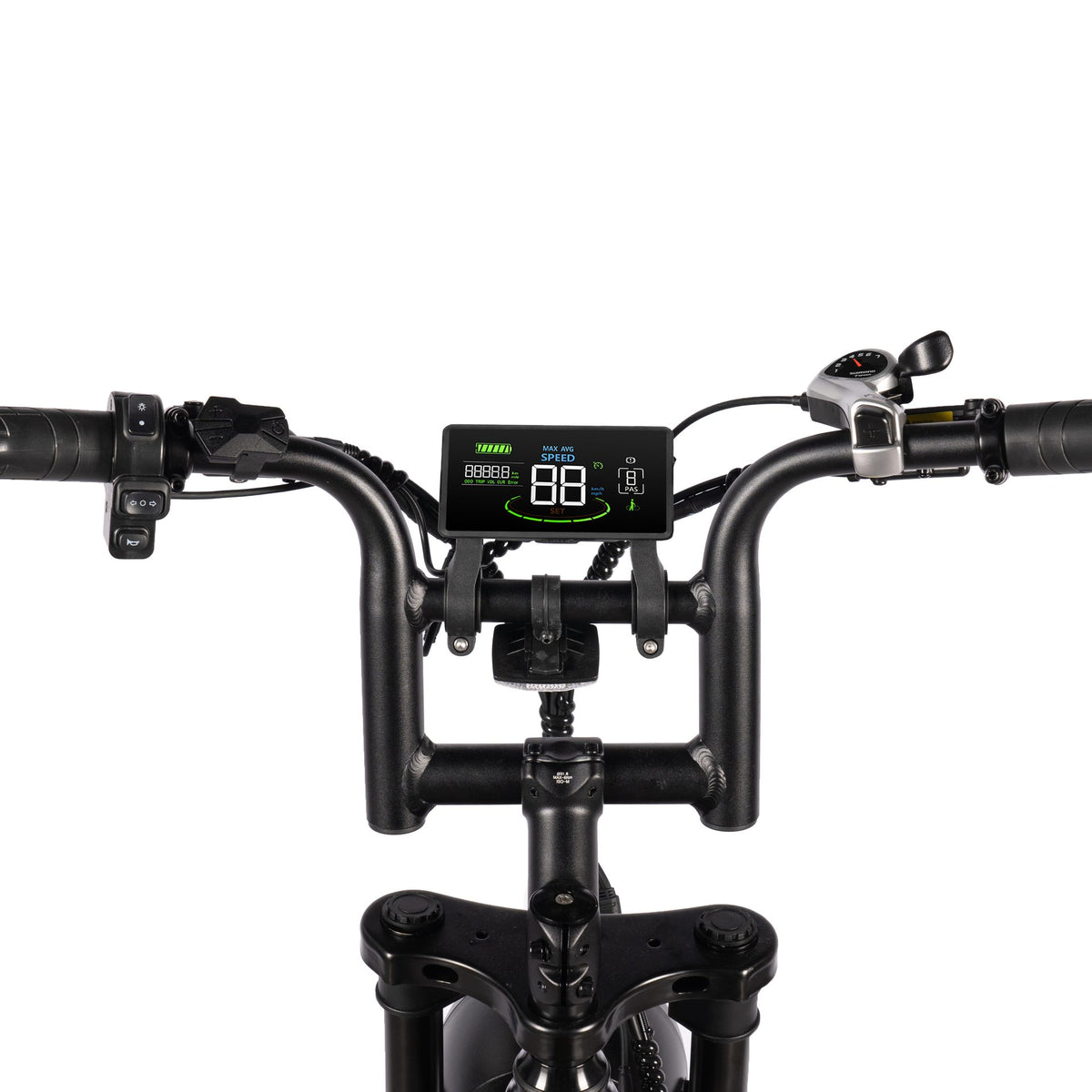 E-Bike Fat Hunt Leon