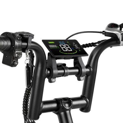 E-Bike Fat Hunt Leon