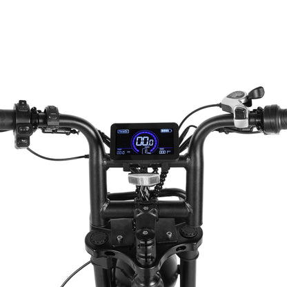 E-Bike Fat Hunt Duke
