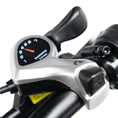 E-Bike Fat Hunt Leon