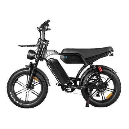 E-Bike Fat Hunt Leon