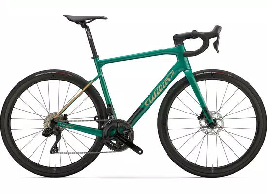 Bici Wilier GARDA 105 12S SWR40 L Green Gold Glossy