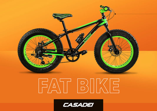 Bici Casadei Fat Crow MTB 20" Alluminio 6v Disk