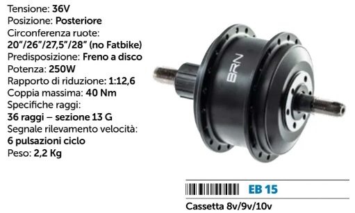 MOTORE POSTERIORE 250W MODELLO 1000 A CASSETTA