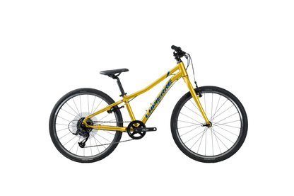 Bici Lapierre Proace 24 SL