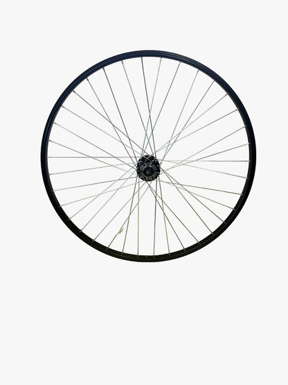 Ruota Anteriore MTB Disk Nero EKO Dado