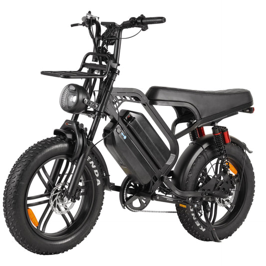 E-Bike Fat Hunt Duke