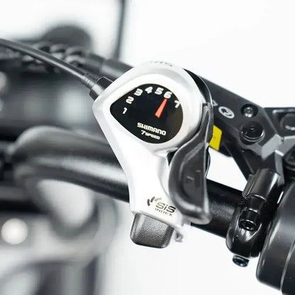 E-Bike Fat Hunt Leon