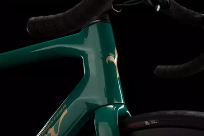 Bici Wilier GARDA 105 12S SWR40 L Green Gold Glossy